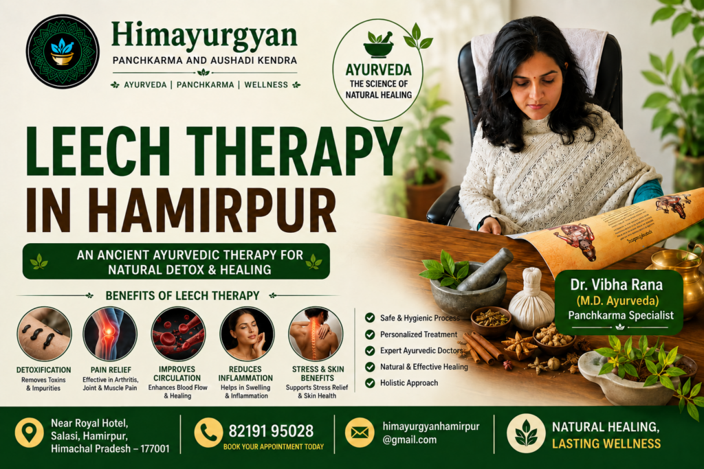 Best Leech Therapy (Jalaukavacharana) Treatment in Hamirpur Through Ayurveda